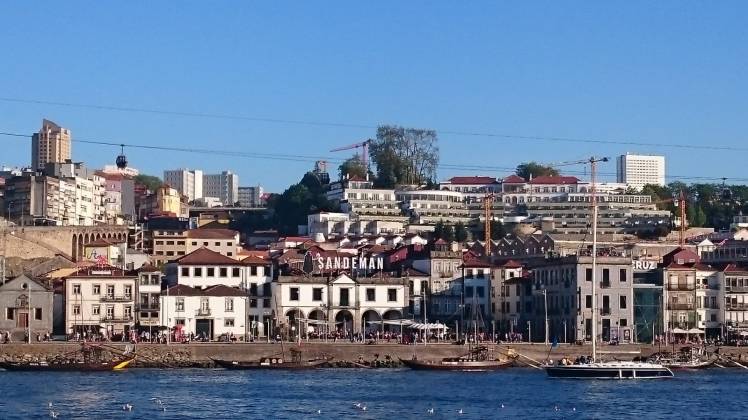 IMG-20190524-WA0006 (1)